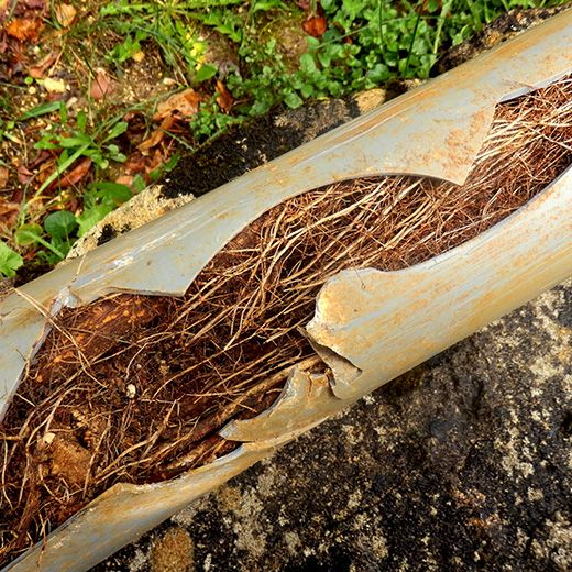 The Drain & Sewer Professionals In Walkerville
