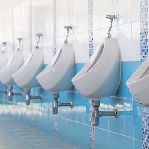 For All Your Plumbing Needs In Walkerville